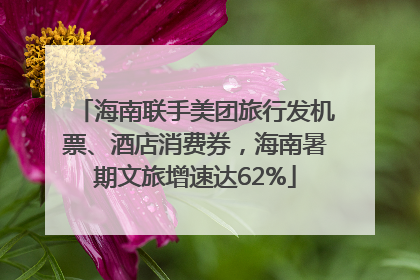 海南联手美团旅行发机票、酒店消费券，海南暑期文旅增速达62%