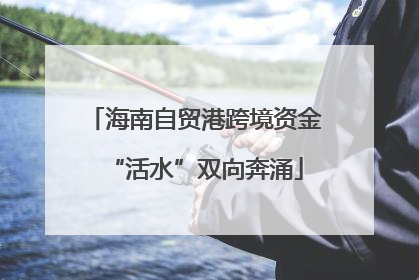 海南自贸港跨境资金“活水”双向奔涌