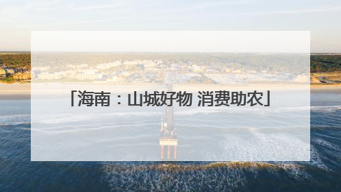 海南：山城好物 消费助农