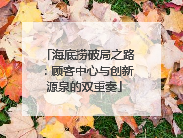 海底捞破局之路：顾客中心与创新源泉的双重奏