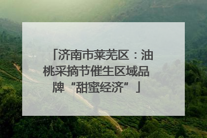 济南市莱芜区：油桃采摘节催生区域品牌“甜蜜经济”