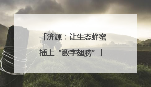 济源：让生态蜂蜜插上“数字翅膀”