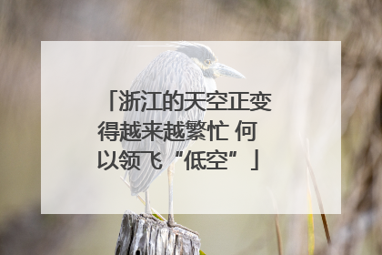 浙江的天空正变得越来越繁忙 何以领飞“低空”