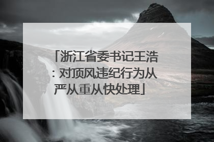 浙江省委书记王浩：对顶风违纪行为从严从重从快处理