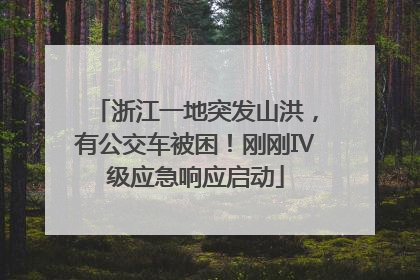 浙江一地突发山洪，有公交车被困！刚刚Ⅳ级应急响应启动
