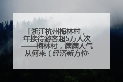 浙江杭州梅林村，一年接待游客超5万人次——梅林村，满满人气从何来（经济新方位·农村消费观察）