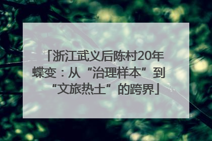浙江武义后陈村20年蝶变：从“治理样本”到“文旅热土”的跨界