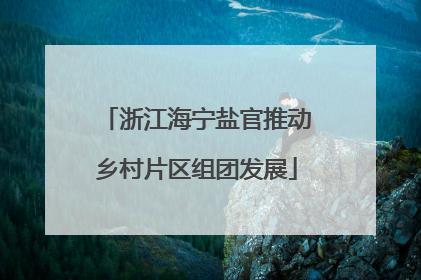 浙江海宁盐官推动乡村片区组团发展