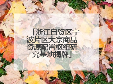 浙江自贸区宁波片区大宗商品资源配置枢纽研究基地揭牌