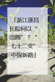 浙江遂昌长粽何以“出圈”？“七十二变”中探新路