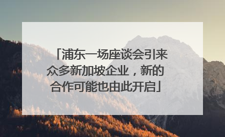 浦东一场座谈会引来众多新加坡企业，新的合作可能也由此开启