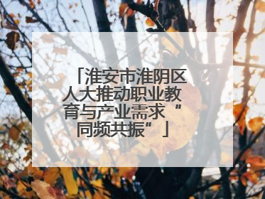 淮安市淮阴区人大推动职业教育与产业需求“同频共振”