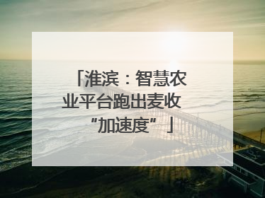 淮滨：智慧农业平台跑出麦收“加速度”