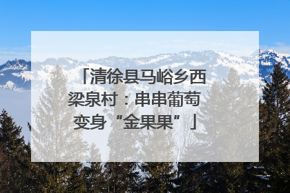 清徐县马峪乡西梁泉村：串串葡萄变身“金果果”