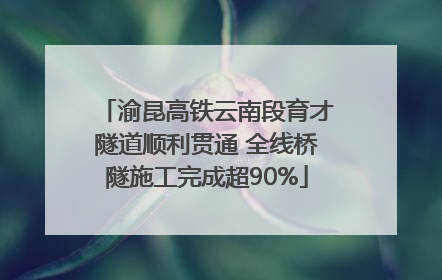 渝昆高铁云南段育才隧道顺利贯通 全线桥隧施工完成超90%
