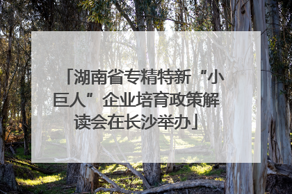 湖南省专精特新“小巨人”企业培育政策解读会在长沙举办