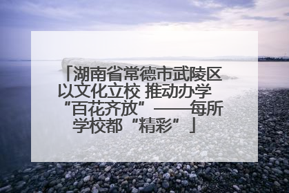 湖南省常德市武陵区以文化立校 推动办学“百花齐放”——每所学校都“精彩”