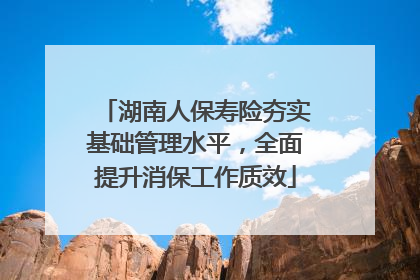 湖南人保寿险夯实基础管理水平，全面提升消保工作质效