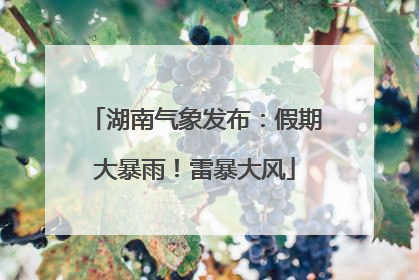 湖南气象发布：假期大暴雨！雷暴大风