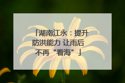 湖南江永：提升防洪能力 让雨后不再“看海”