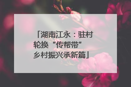 湖南江永：驻村轮换“传帮带” 乡村振兴承新篇