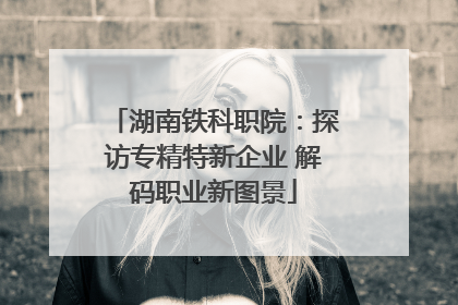湖南铁科职院：探访专精特新企业 解码职业新图景