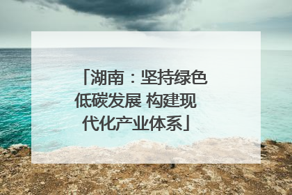 湖南：坚持绿色低碳发展 构建现代化产业体系