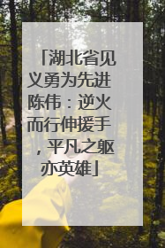 湖北省见义勇为先进陈伟：逆火而行伸援手，平凡之躯亦英雄
