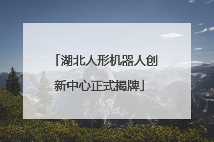 湖北人形机器人创新中心正式揭牌