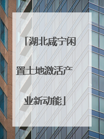 湖北咸宁闲置土地激活产业新动能