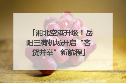 湘北空港升级！岳阳三荷机场开启“客货并举”新航程