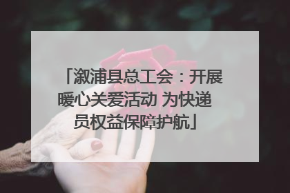 溆浦县总工会：开展暖心关爱活动 为快递员权益保障护航