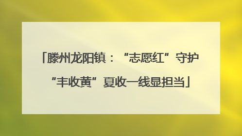 滕州龙阳镇：“志愿红”守护“丰收黄”夏收一线显担当