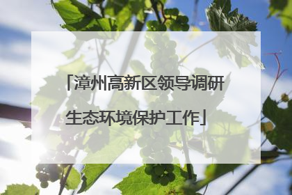 漳州高新区领导调研生态环境保护工作