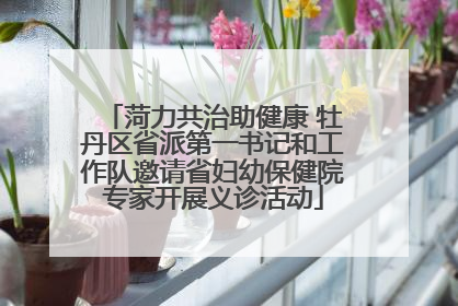 菏力共治助健康 牡丹区省派第一书记和工作队邀请省妇幼保健院专家开展义诊活动