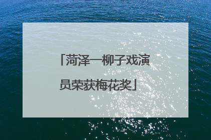 菏泽一柳子戏演员荣获梅花奖