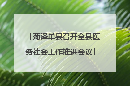 菏泽单县召开全县医务社会工作推进会议
