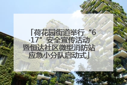 荷花园街道举行“6·17”安全宣传活动暨恒达社区微型消防站应急小分队启动式