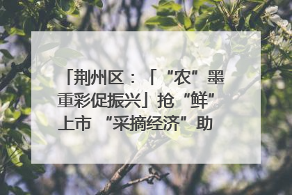 荆州区：「“农”墨重彩促振兴」抢“鲜”上市 “采摘经济”助农“甜蜜增收”