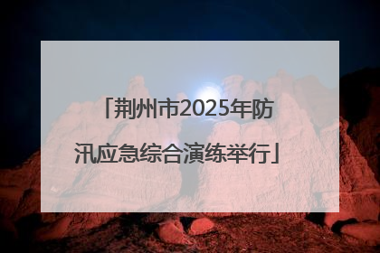 荆州市2025年防汛应急综合演练举行