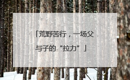 荒野苦行，一场父与子的“拉力”