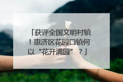 获评全国文明村镇！惠济区花园口镇何以“花开满园”？