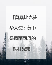 莫桑比克驻华大使：莫中是风雨同舟的铁杆兄弟
