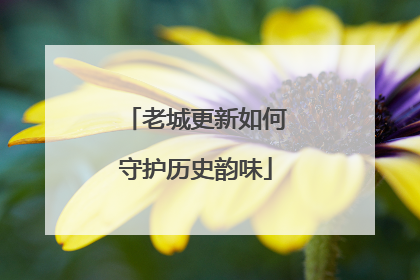 老城更新如何守护历史韵味