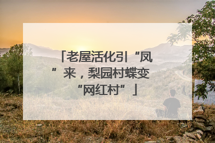 老屋活化引“凤”来，梨园村蝶变“网红村”