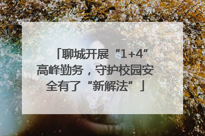聊城开展“1+4”高峰勤务，守护校园安全有了“新解法”