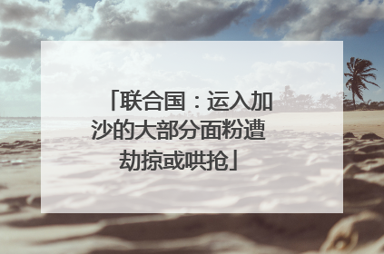 联合国：运入加沙的大部分面粉遭劫掠或哄抢