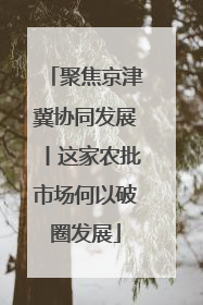 聚焦京津冀协同发展丨这家农批市场何以破圈发展