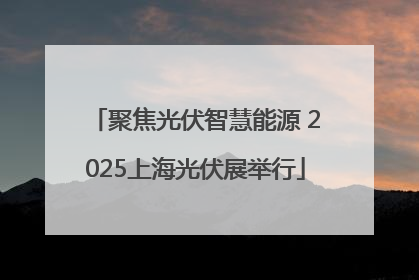 聚焦光伏智慧能源 2025上海光伏展举行