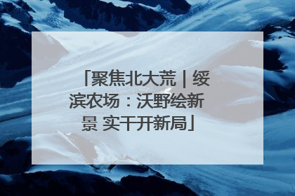聚焦北大荒｜绥滨农场：沃野绘新景 实干开新局